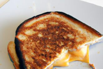 Melted Magic: Choosing the Perfect Grilled Cheese Maker