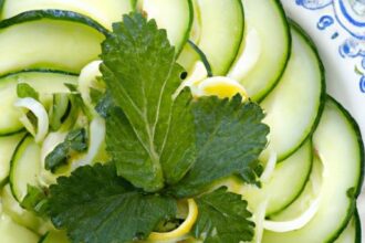 Zesty Cucumber and Lemon Dressing: Fresh Flavors Unleashed